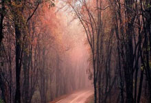 拉茨欣德迎战特拉布宗：捷土恩怨决定胜负